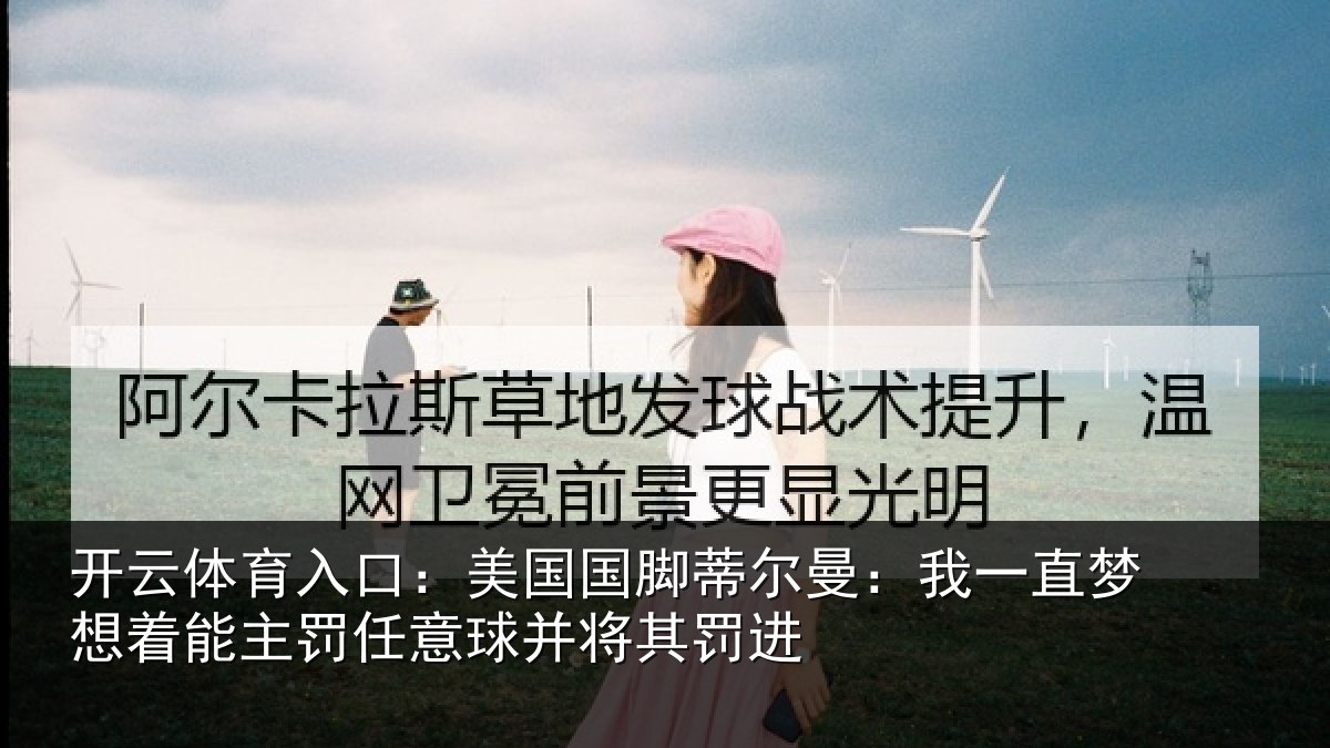 开云体育入口:美国相关情况相关情况球并将其罚进