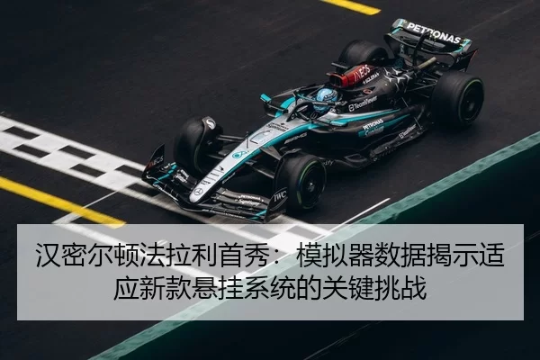 han-mi-er-dun-fa-la-li-shou-xiu-mo-ni-qi-shu-ju-jie-shi-shi-ying-xin-kuan-xuan-gua-xi-tong-de-guan-jian-tiao-zhan-3-729.jpg