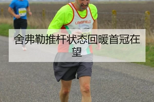 舍弗勒推杆状态回暖首冠在望